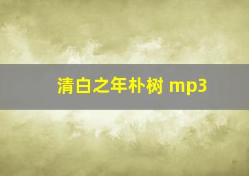 清白之年朴树 mp3